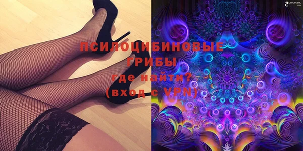 индика Вязники