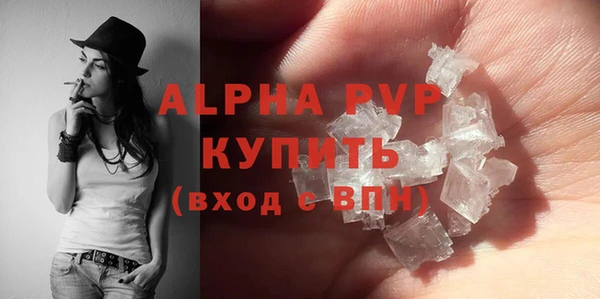 индика Вязники