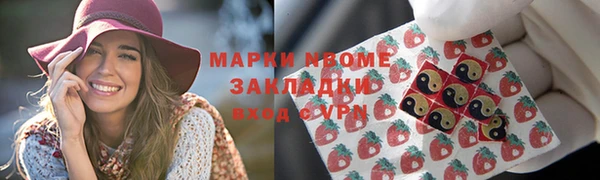 индика Тихвин