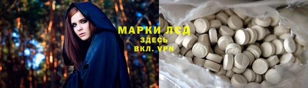 индика Вязники
