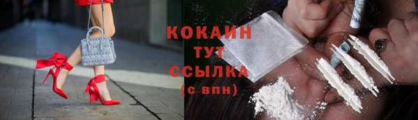 крисы Горно-Алтайск