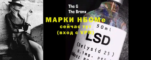 индика Вязники