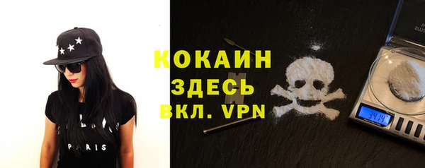 индика Вязники