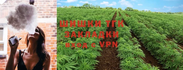 индика Вязники